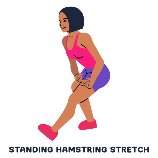 349 Hamstring Stretch Illustrations & Clip Art - iStock | Standing  hamstring stretch, Lying hamstring stretch, Seated hamstring stretch