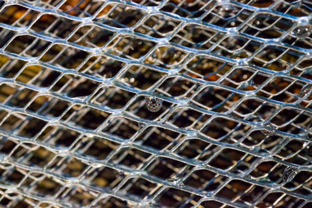 istock Close-Up fence aagainst the wall 1094511068