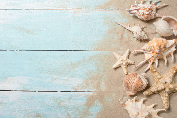 istock Starfish and seashells with sand on a wooden background. Top view with empty place for inscription 1094511394