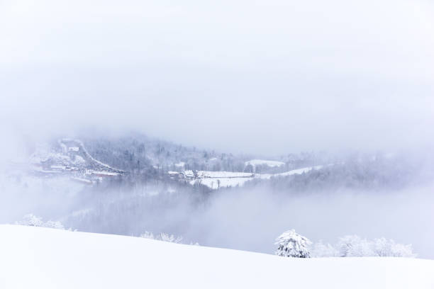 istock beatiful view of snowy landscape 1094512476