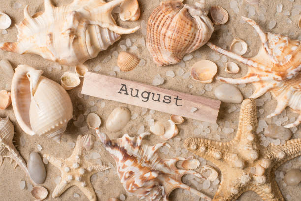 istock August inscription on sand with sea stars and seashells 1094514816