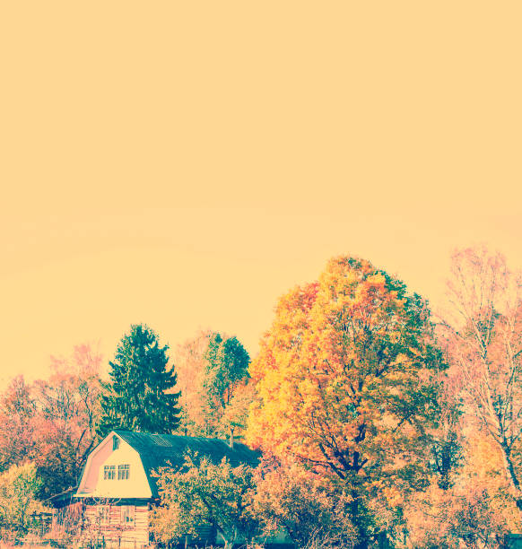autumn landscape with bright colorful leaves. Indian summer. maple. House in the woods.