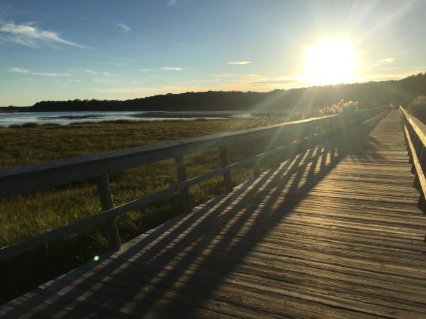 bahía de nauset boardwalk - eastham, cape cod - cape cod new england sea marsh fotografías e imágenes de stock