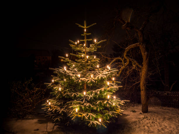 buon natale! albero di natale - deco decoration christmas christmas tree foto e immagini stock