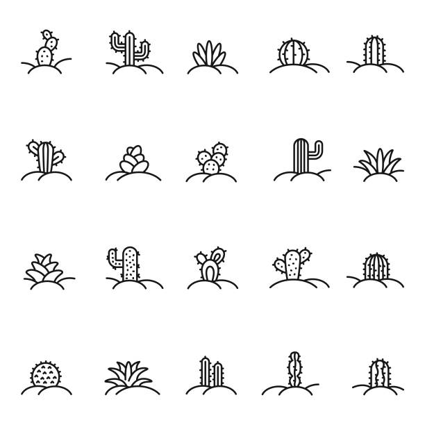 bildbanksillustrationer, clip art samt tecknat material och ikoner med cactus ikonuppsättning - desert cactus