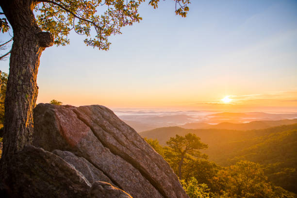 sunrise at shenandoah national park - shenandoah national park imagens e fotografias de stock