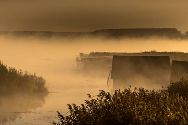 istock Observation platform at the Federseesteg in germany 1094522498