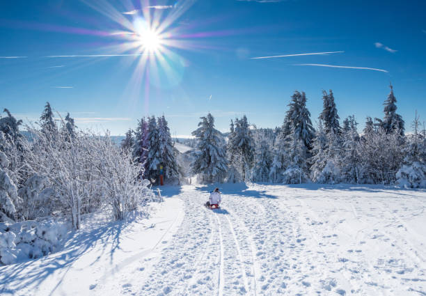 зимние каникулы германия - black forest forest sky blue стоковые фото и изображения
