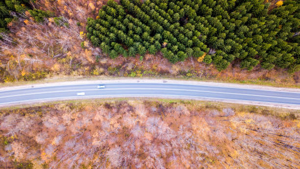 istock Road in the autumn forest aerial view 1094525950