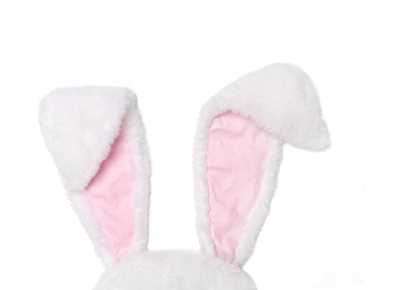 Bunny ears on a white background. Easter concept