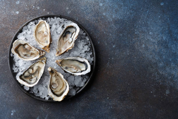 istock Fresh oysters in a plate with ice on blue background 1094538788