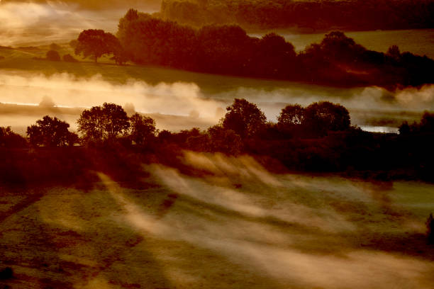 Field covered in haze and morning sun rays