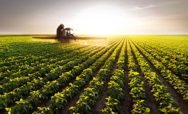 istock Tractor spraying pesticides at  soy bean fields 1094542354