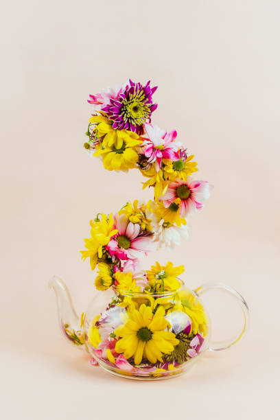 istock Glass teapot with flowers going up from it 1094545908