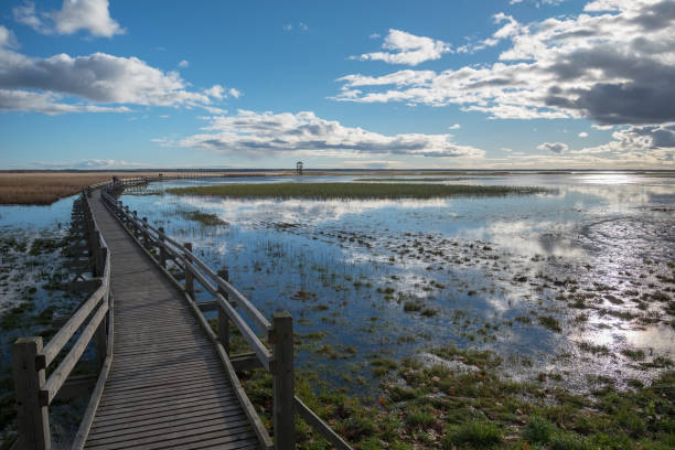 istock Wooden path to the lake. 1094546976