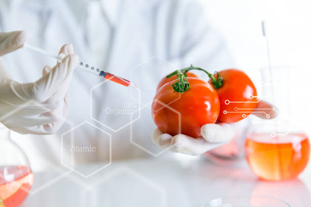 istock Scientist is holding a tomato and sampling chemical extract from organic natural, research and develop background, Scientific concept is sample project essential from herbal medicine, health&beauty concept 1094547234