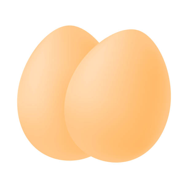 illustrazioni stock, clip art, cartoni animati e icone di tendenza di immagine realistica di due uova. illustrazione vettoriale isolata su sfondo bianco. - two eggs