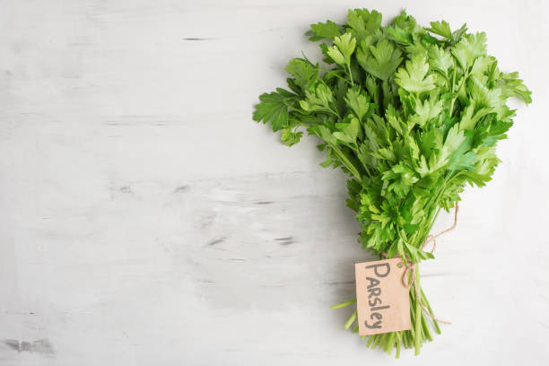 istock Fresh parsley on a light stone or slate background. Top view with copy space, flat lay. 1094560868