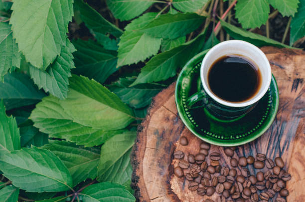 uma xícara de café em uma árvore cortada com grãos de café e folhas. - coffee bag sack bean - fotografias e filmes do acervo