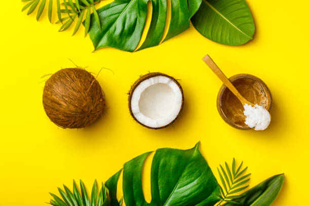 istock Coconut oil, tropical leaves and fresh coconuts 1094563728