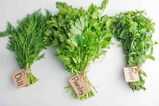 istock Herbs for cooking, mint, dill and parsley 1094565252