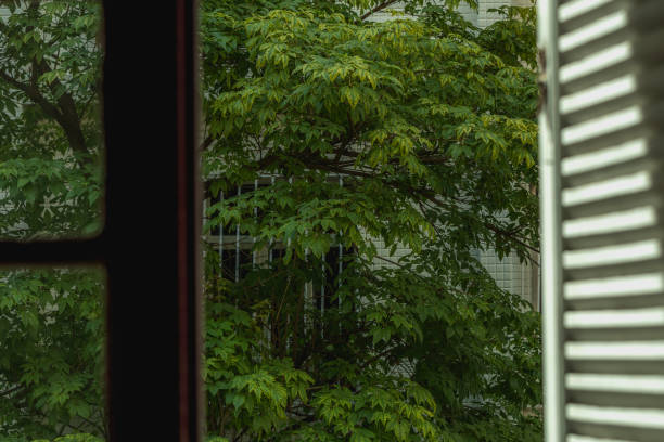 istock View of the exterior through a wondow. 1094567440