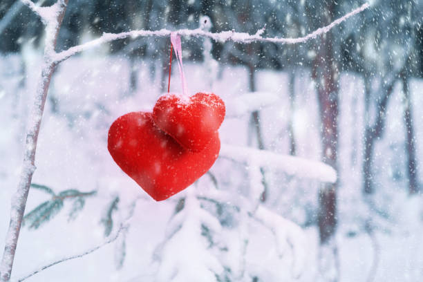 istock Two red fabric hearts on snow-covered tree branch 1094567516