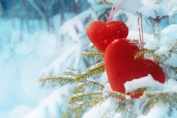 istock Two red fabric hearts on snow-covered firtree 1094567556
