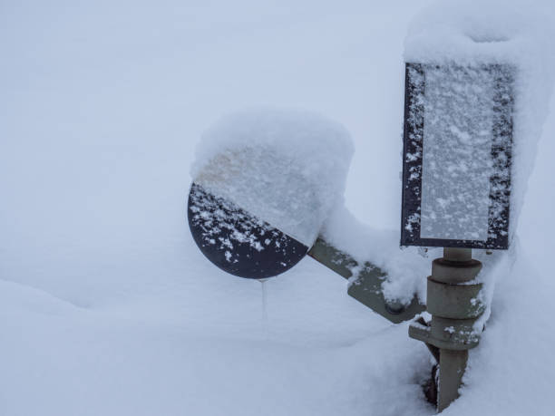 istock Winter feeding on a birdhouse 1094571078