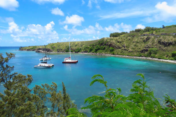 Panoramic view over Honolua Bay, Maui, Hawaii stock photo