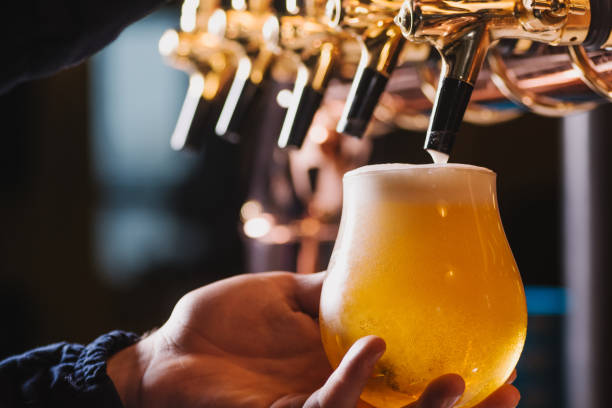Hand of bartender pouring a lager beer in tap stock photo