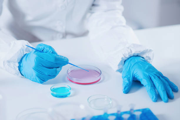 istock Midsection Of Scientist Analyzing Chemicals In Petri Dish At Laboratory 1094577918