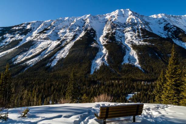 istock Kananaskis Range in winter, Peter lougheed Provincial Park, Alberta, Canada 1094578110