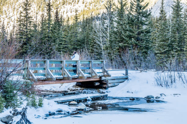 istock Spring thaw as the water opens at Mount Lorette Ponds, Bow Valley Provincial Park, alberta, Canada 1094578492