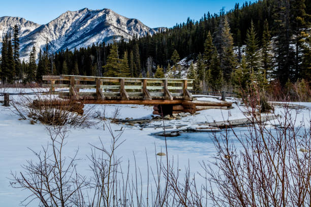 istock Spring thaw as the water opens at Mount Lorette Ponds, Bow Valley Provincial Park, alberta, Canada 1094578608