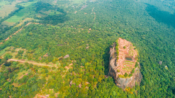 istock Rolling landscape of forest in Sri Lanka 1094579656