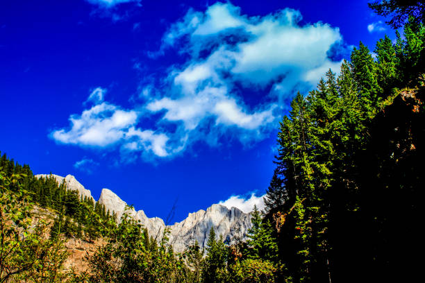 summer hills, blue skies and fluffy white clouds in the park