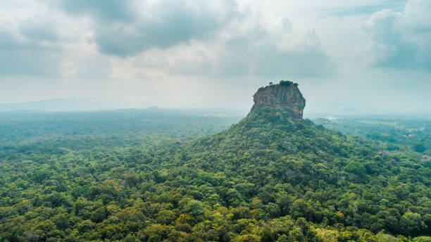 istock Rolling landscape of forest in Sri Lanka 1094579732