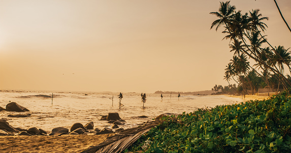 Landscape with beach in Sri Lanka