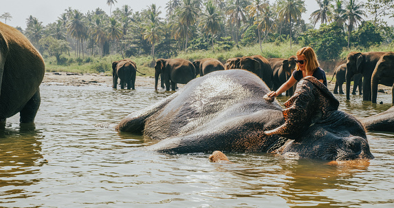 Woman playing with elephant in water