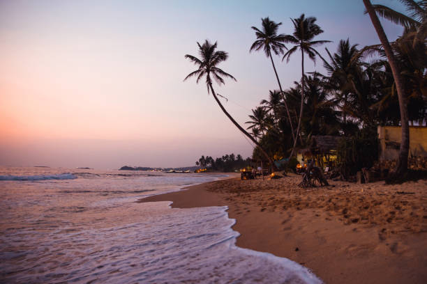 istock Palm trees and huts on sandy beach at sunset,Sri Lanka 1094583036