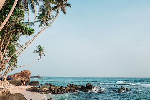 Palm trees and stones on sandy beach under clear sky,Sri Lanka