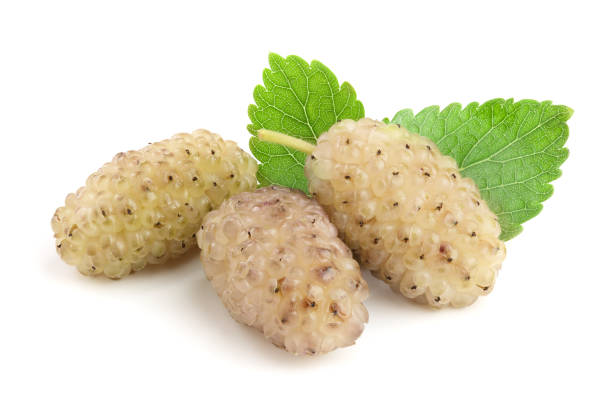 istock Fresh ripe white Mulberry berry with leaf isolated on white background macro 1094583926
