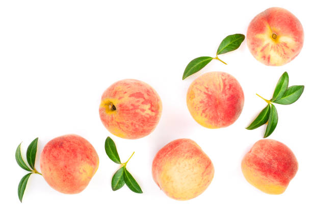 istock ripe peaches with leaves isolated on white background with copy space for your text. Top view. Flat lay pattern 1094583976