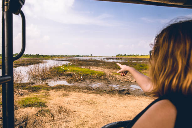 istock Woman pointing during safari,Sri Lanka 1094584154