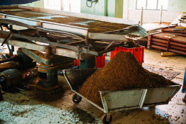 istock Tobacco grinding machine,Sri Lanka 1094589608