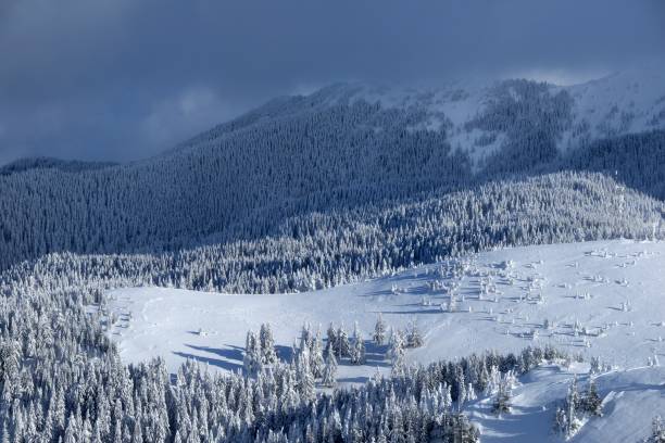 istock Ciucas mountains in winter season 1094599022
