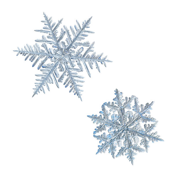 istock Two snowflakes isolated on white background 1094600478