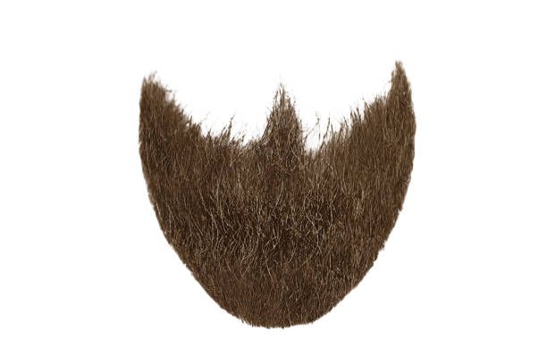 istock Brown beard isolated on white. Mens fashion 1094600868