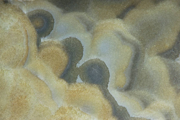 istock Background from a natural stone Onyx with bubbles and gray stains on the surface, onix naranja veteado 1094615874